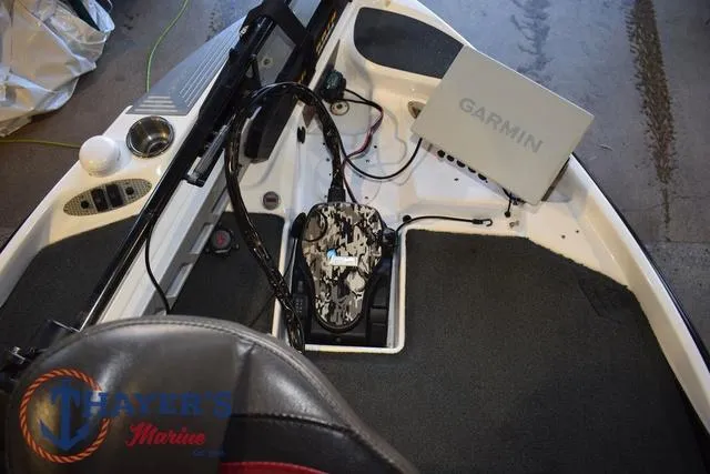 Slide: The Image of Bass Cat Lynx 2018 - 42