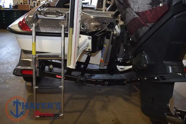 Slide: The Image of Bass Cat Lynx 2018 - 7