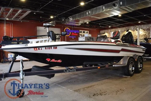 Slide: The Image of Bass Cat Lynx 2018 - 9