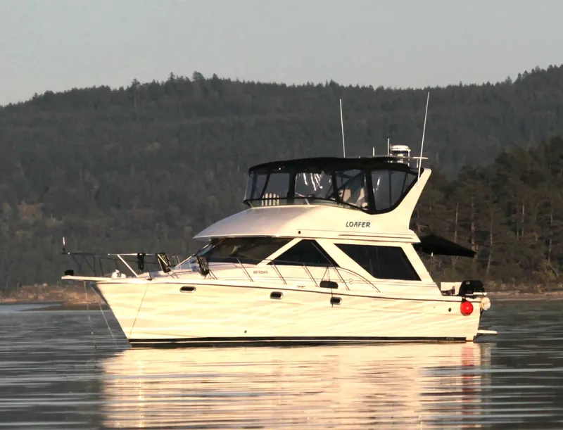 The Image of Bayliner 3988 Motor Yacht 1995 - 0