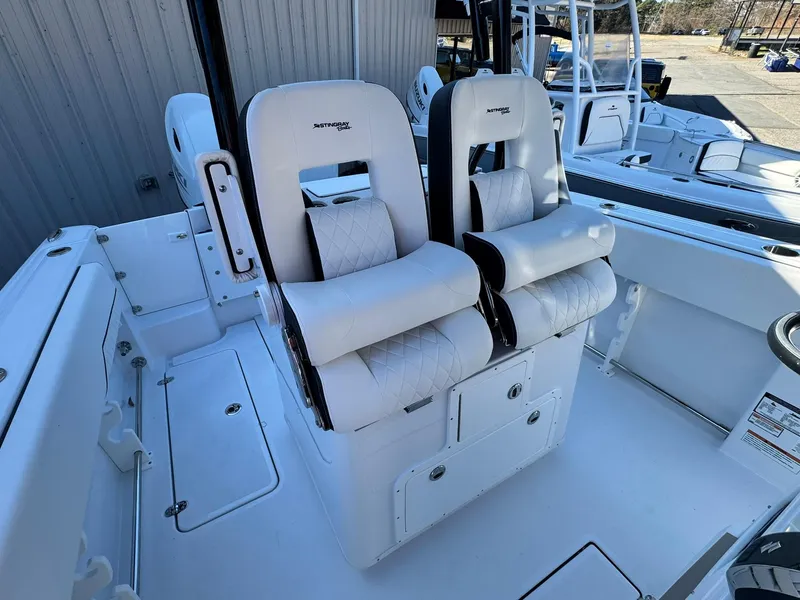 Slide: The Image of Stingray 253 CC 2025 - 18