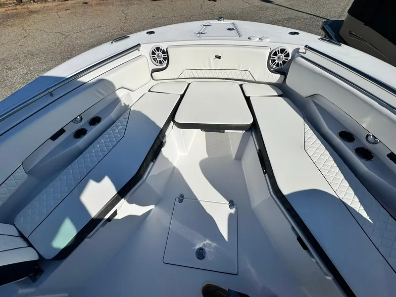 Slide: The Image of Stingray 253 CC 2025 - 20