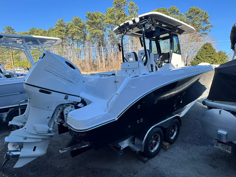 Slide: The Image of Stingray 253 CC 2025 - 3