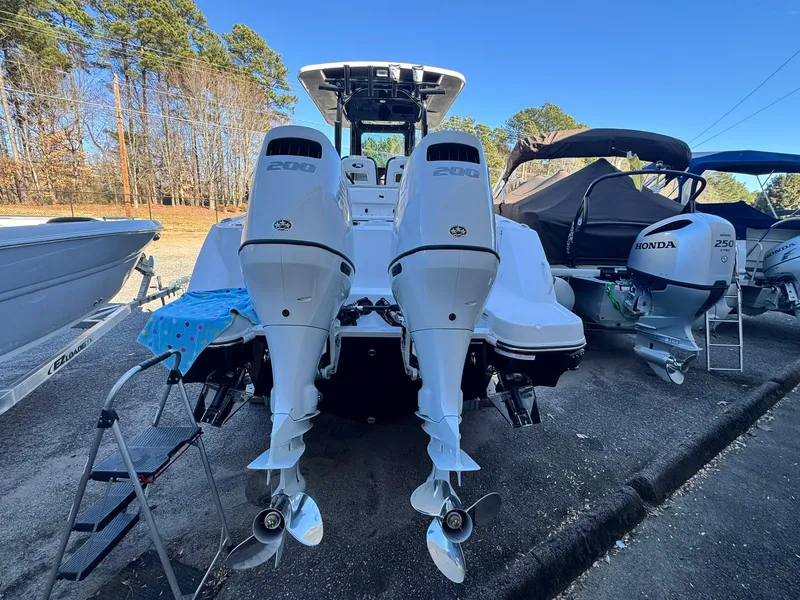 Slide: The Image of Stingray 253 CC 2025 - 5