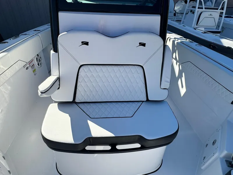 Slide: The Image of Stingray 253 CC 2025 - 8