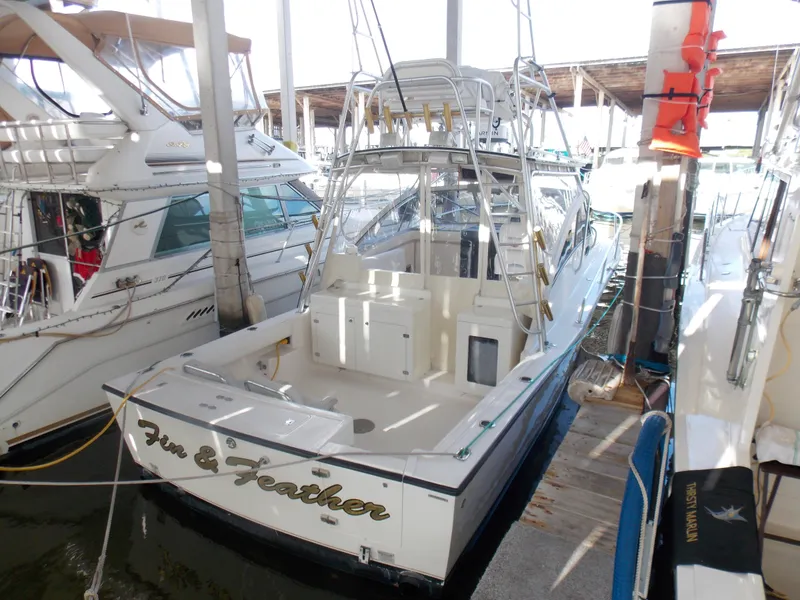 Slide: The Image of Albemarle 320 Express 1999 - 119