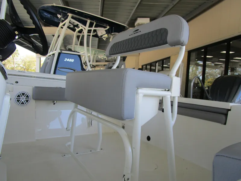 Slide: The Image of Cobia CC 220 2025 - 4