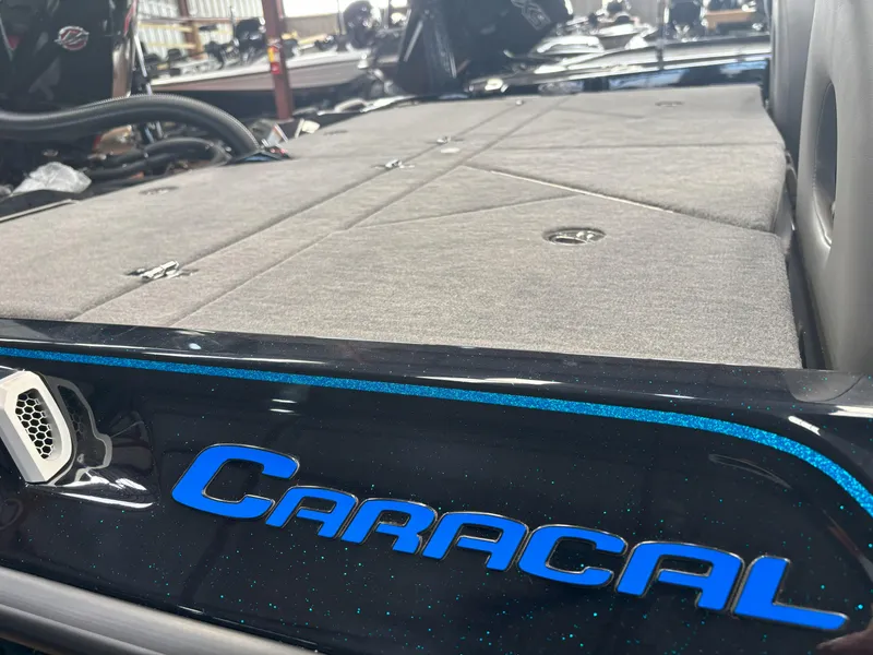 Slide: The Image of Bass Cat Caracal STS 2025 - 10