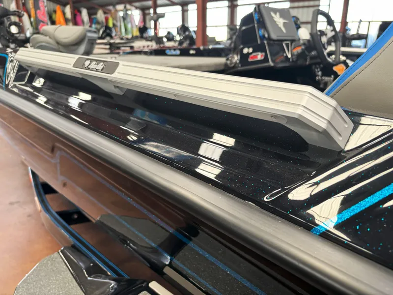 Slide: The Image of Bass Cat Caracal STS 2025 - 12