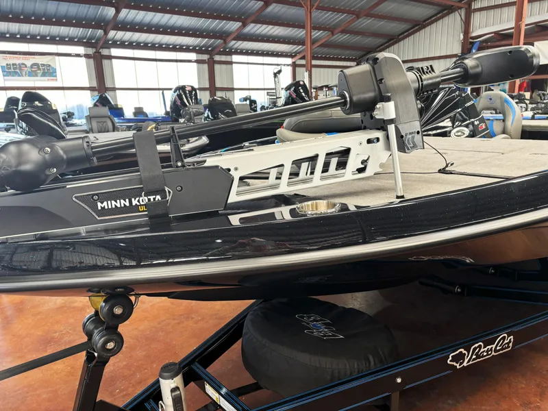 Slide: The Image of Bass Cat Caracal STS 2025 - 15