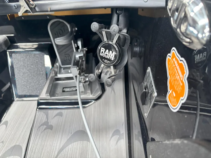 Slide: The Image of Bass Cat Caracal STS 2025 - 19