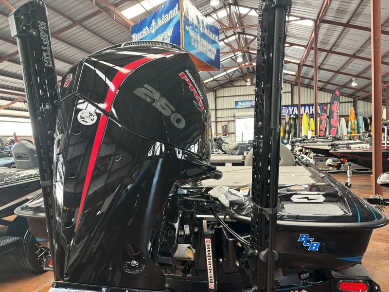 Slide: The Image of Bass Cat Caracal STS 2025 - 20