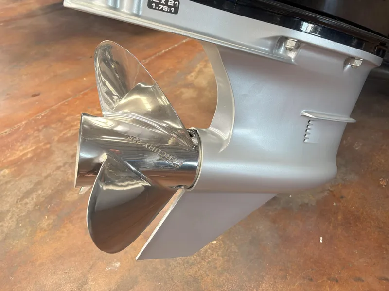 Slide: The Image of Bass Cat Caracal STS 2025 - 21