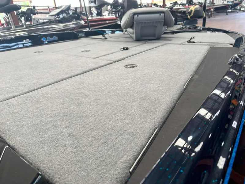 Slide: The Image of Bass Cat Caracal STS 2025 - 5