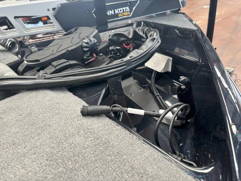 Slide: The Image of Bass Cat Caracal STS 2025 - 6