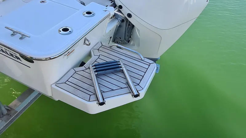 Slide: The Image of 2019 Boston Whaler 210 Montauk boat with swim platform and ladder on green water. - 38