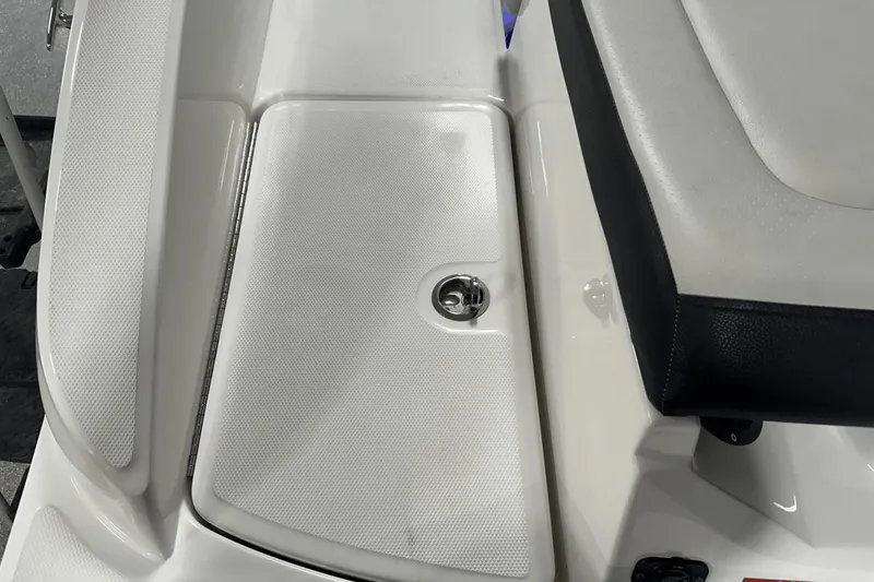 Slide: The Image of Sea Ray SPX 190 2021 - 15