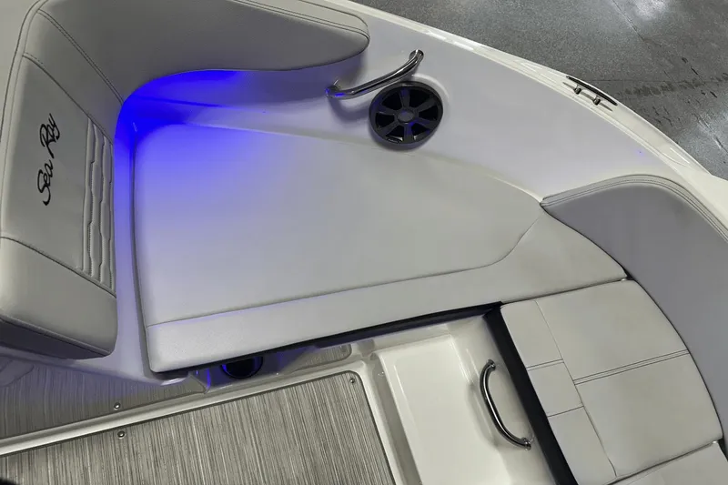 Slide: The Image of Sea Ray SPX 190 2021 - 39