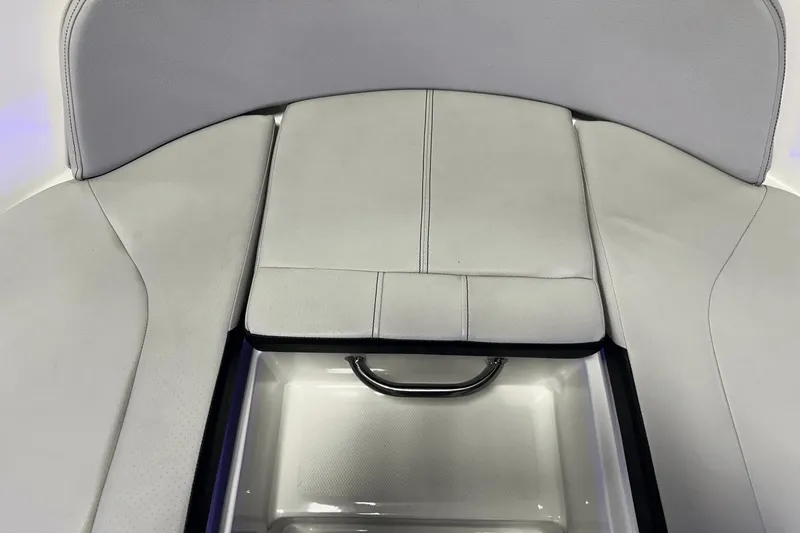 Slide: The Image of Sea Ray SPX 190 2021 - 41