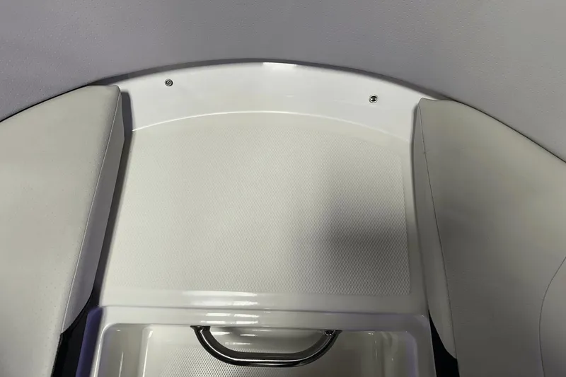 Slide: The Image of Sea Ray SPX 190 2021 - 42