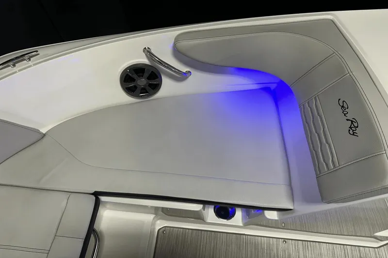 Slide: The Image of Sea Ray SPX 190 2021 - 43