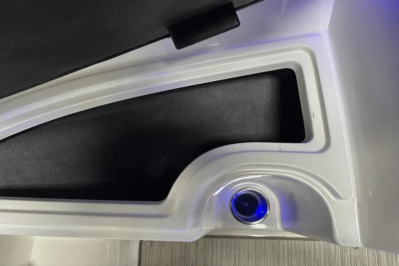 Slide: The Image of Sea Ray SPX 190 2021 - 44