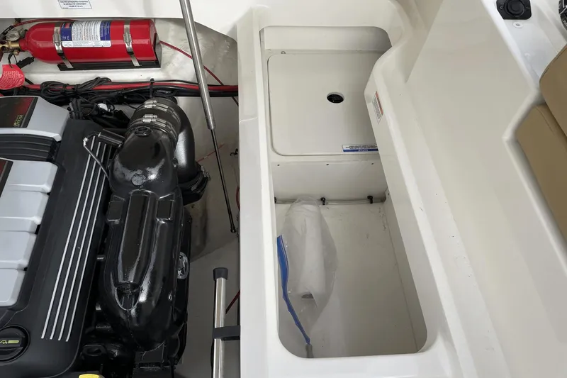 Slide: The Image of Sea Ray 250 SDX 2022 - 26