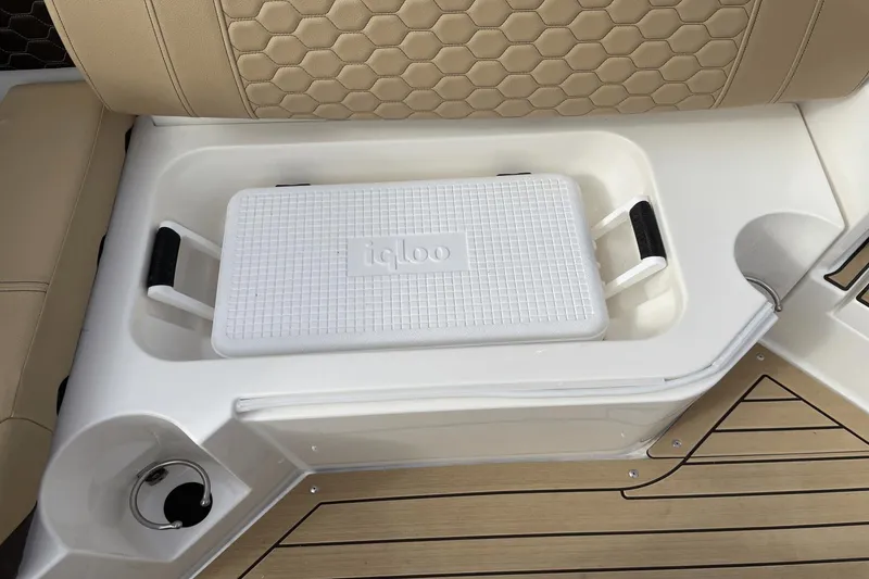 Slide: The Image of Sea Ray 250 SDX 2022 - 35