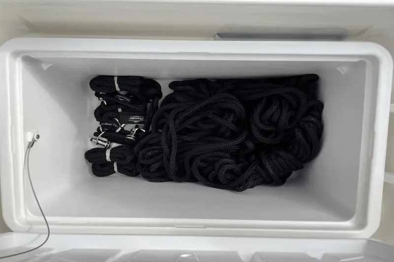 Slide: The Image of Sea Ray 250 SDX 2022 - 36