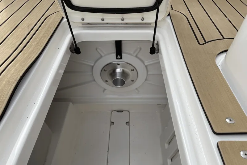 Slide: The Image of Sea Ray 250 SDX 2022 - 38