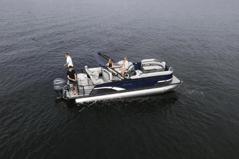 Slide: The Image of Sylvan L-3 2025 - 0