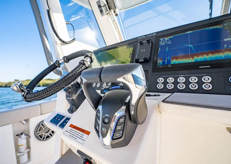 Slide: The Image of Solace 30 CS 2026 - 33