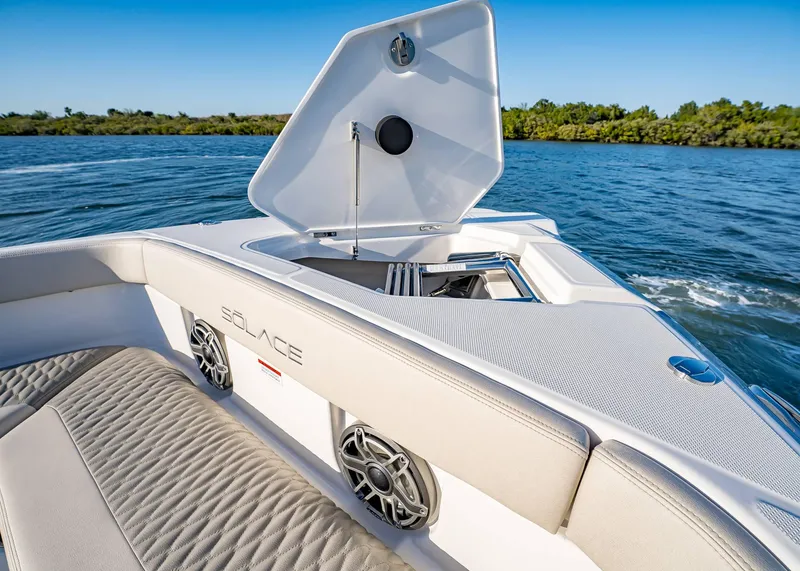 Slide: The Image of Solace 30 CS 2026 - 50