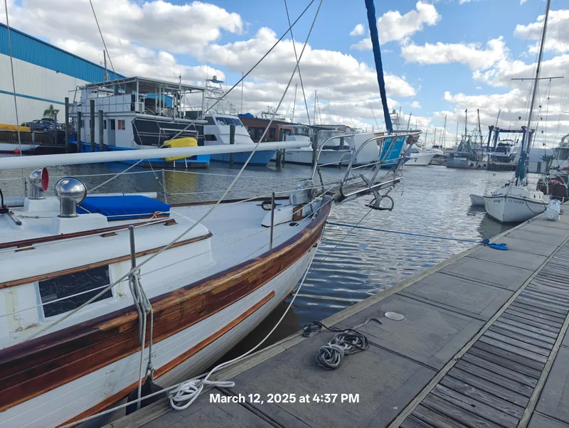 Slide: The Image of Hans Christian 34 1976 - 1