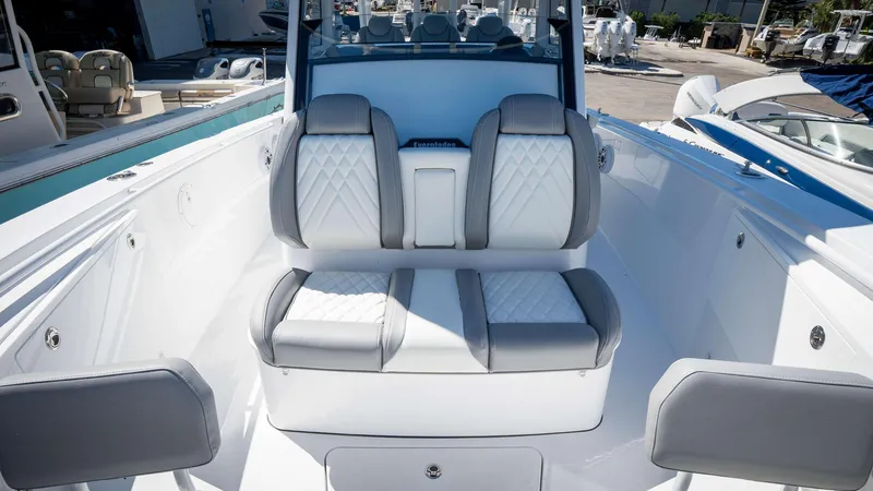 Slide: The Image of Everglades 335 CC 2025 - 50