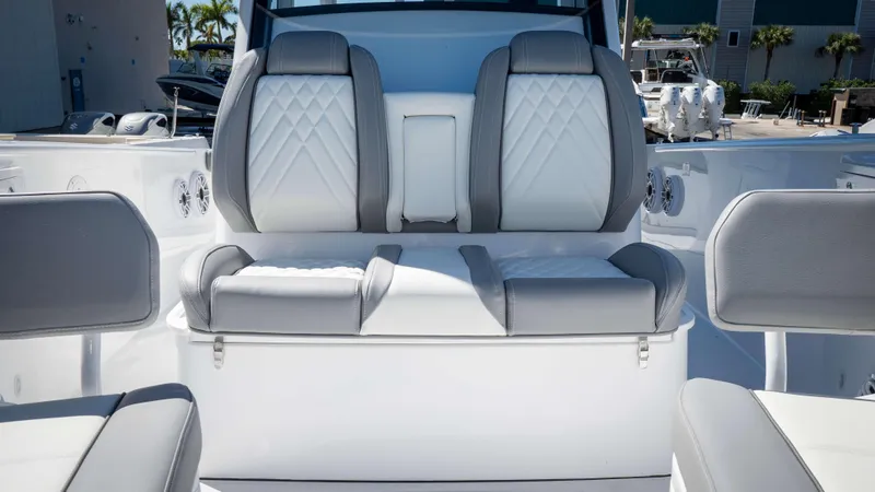 Slide: The Image of Everglades 335 CC 2025 - 52