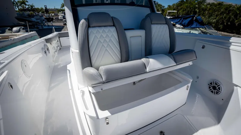 Slide: The Image of Everglades 335 CC 2025 - 54