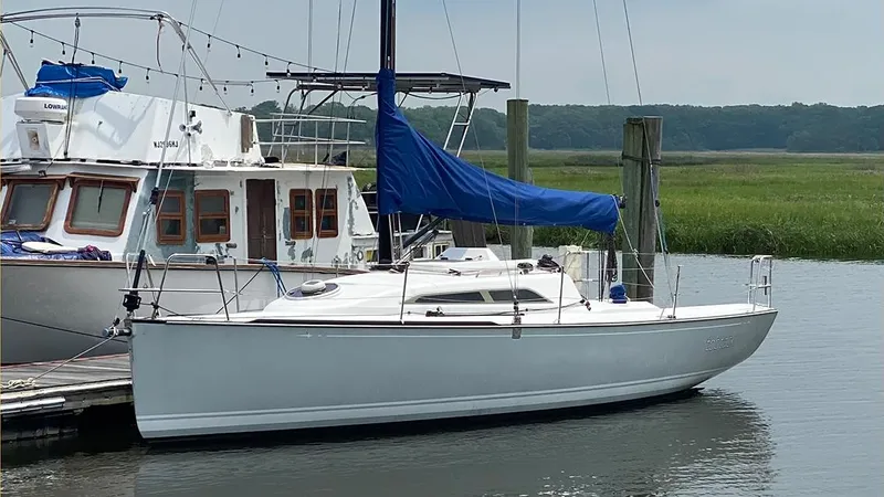 Slide: The Image of Sailboat Tartan 101, 2013 model, docked beside another boat in a serene marina. - 0