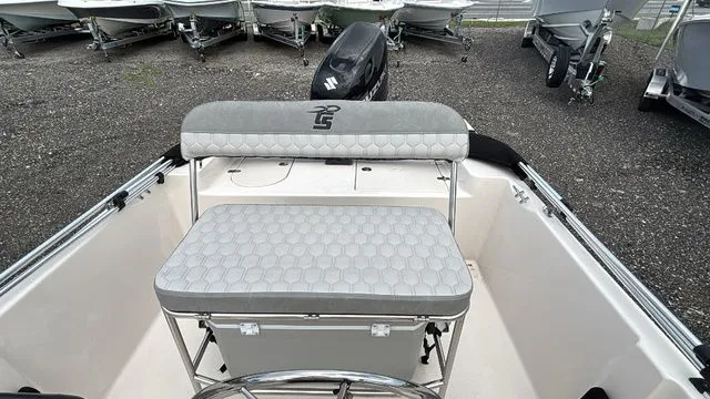 Slide: The Image of Carolina 192 JLS 2025 - 10