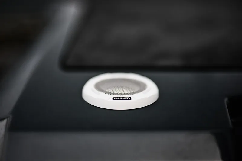 Slide: The Image of Speaker detail in 2025 Skamander Sorrento, featuring a Fusion audio component. - 30