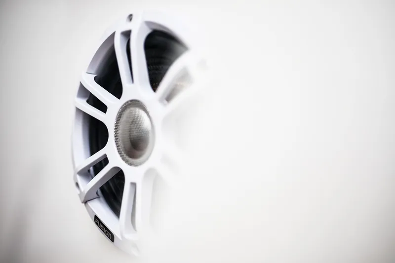 Slide: The Image of White speaker grille on Skamander Sorrento 2025, showcasing modern audio design. - 43