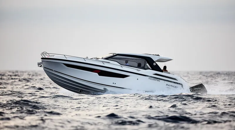 Slide: The Image of Skamander Sorrento 2025 - 90