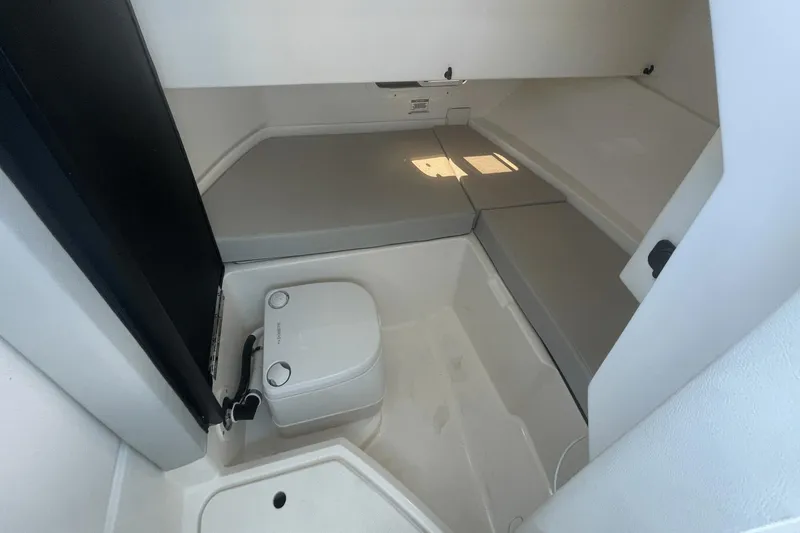 Slide: The Image of Sea Ray 250 SDX OB 2020 - 12