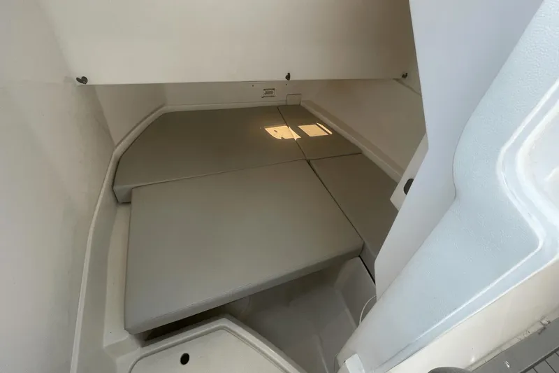 Slide: The Image of Sea Ray 250 SDX OB 2020 - 13