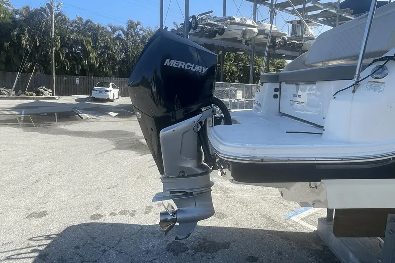 Slide: The Image of Sea Ray 250 SDX OB 2020 - 2