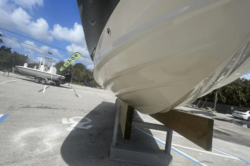 Slide: The Image of Sea Ray 250 SDX OB 2020 - 33