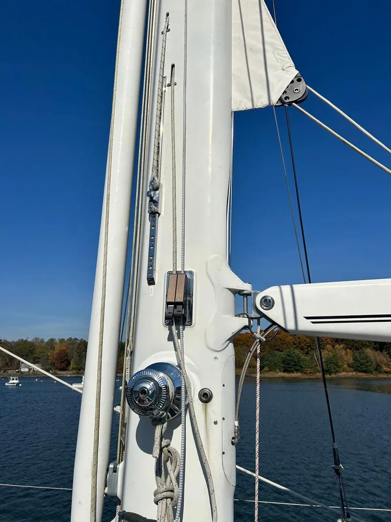 Slide: The Image of Lyman Morse 65_SARAH JANE - 10