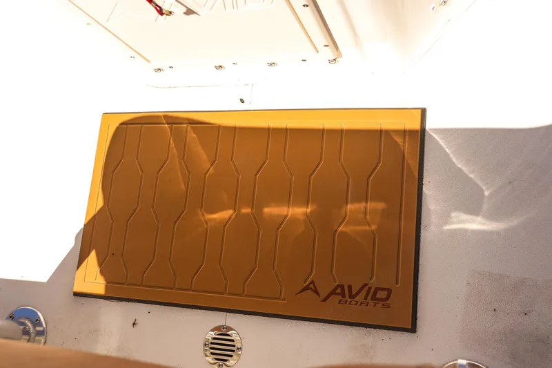 Slide: The Image of Avid 20 ROGUE CC 2025 boat deck with branded mat and ventilation. - 21