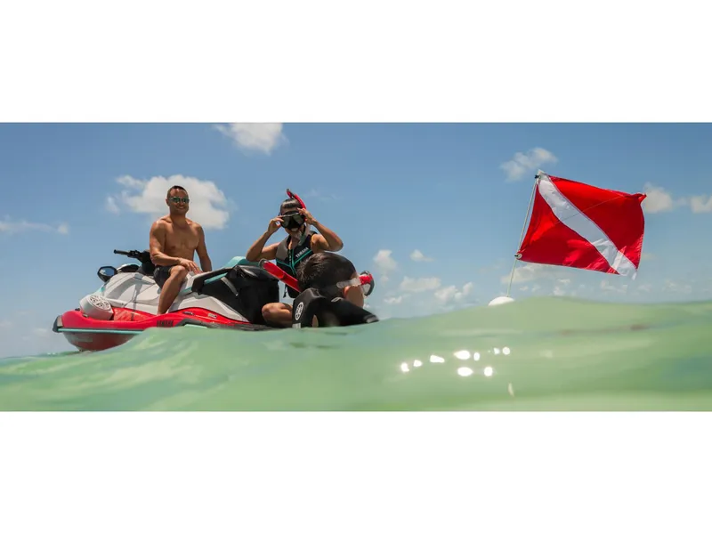 Slide: The Image of Yamaha VX Limited 2025 - 8