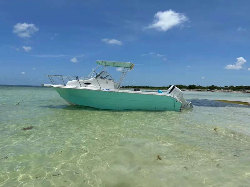 Slide: The Image of 2005 Sea Fox 257 Walk Around boat beached on clear, shallow water under a blue sky. - 2